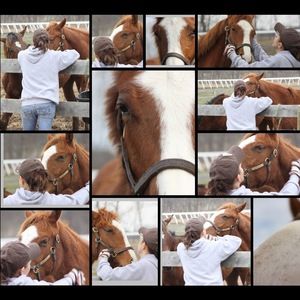 Meet your Posher, Wendy